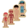 Puzzle drewniane warstwowe budowa ciała montessori chłopiec