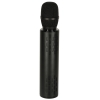 Mikrofon bezprzewodowy karaoke dla dzieci głośnik Bluetooth 2000mAh karta SD USB wysoka jakość czarny